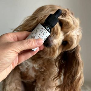 cbd oil for pets
